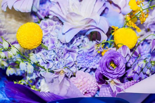 一站式享受精彩 昆明花展参观全攻略 | 动态
