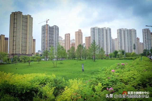 秋雨落，诗意起…邂逅临夏秋雨的美