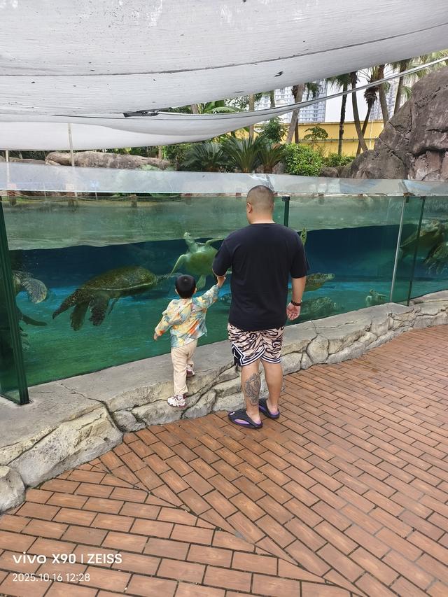 成都 极地海洋公园（58）2025年10月16日