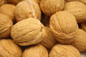 五种益精养肾的食物，越吃肾越好！图片