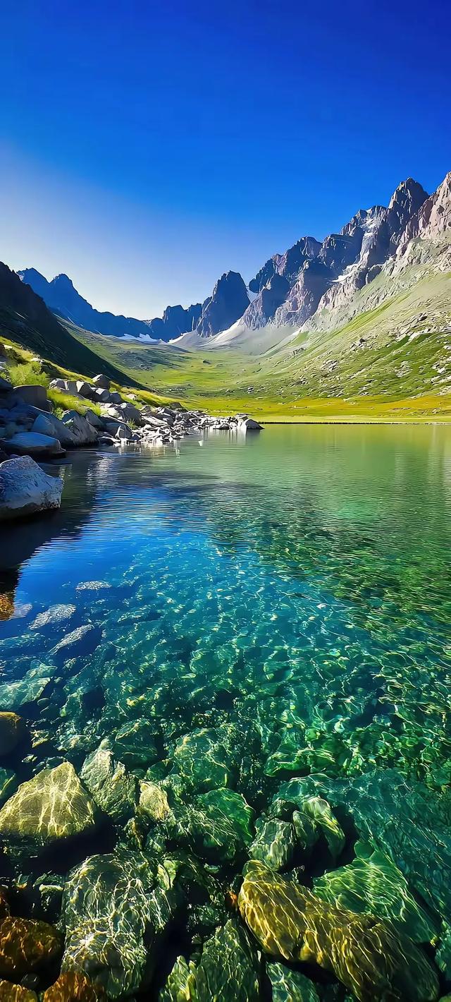 手机壁纸精美图片(162)