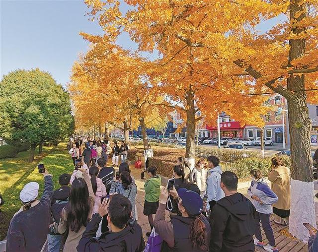 左眼盛夏 右眼深秋 夏秋平分秋色 温柔邂逅大连