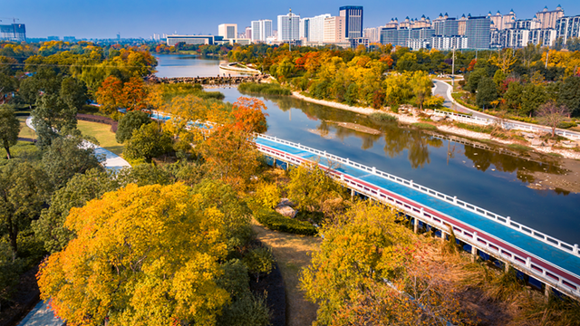 图说遂平：锦绣斑斓醉秋光