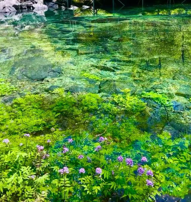 寻找你的“浪浪山”！周末就来松坪沟的绿野仙踪～