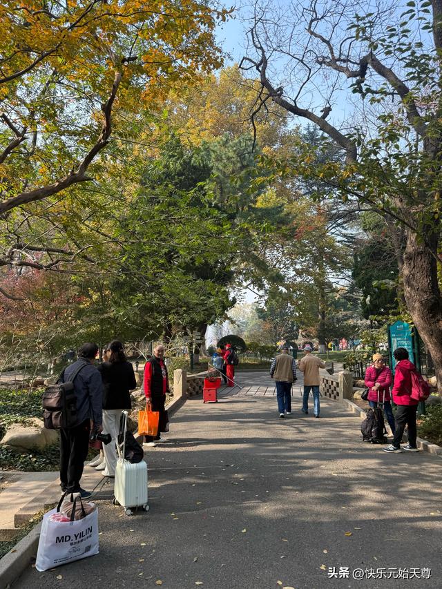 我一上午去了两个公园，