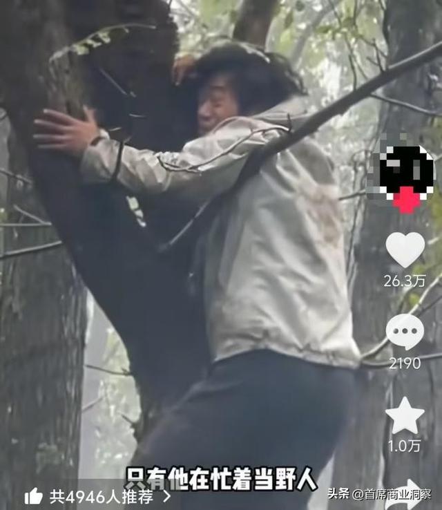 狂揽50亿流量！从低调景区到全网打卡地，这个流量密码藏不住了