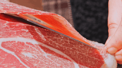 冬天到攀枝花晒太阳是定律来的！