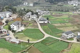 农村户口没土地的怎么办图片
