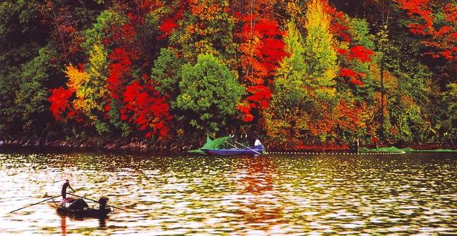 听劝！冬季的吉林市，闭眼冲就对了！