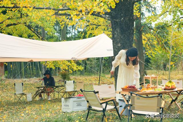 11月一定要收藏一份全国银杏观赏地图