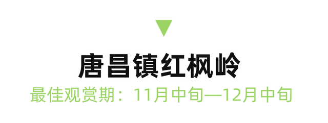 红了！成都周边18个顶级赏秋地更新！最快30min刹拢，最佳观赏期已到！速冲！