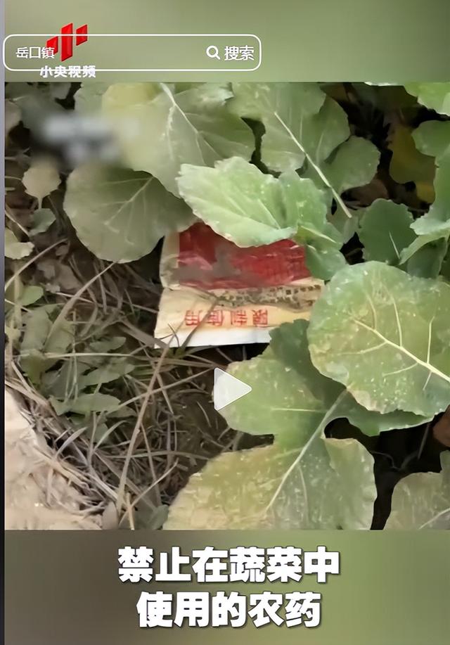 央视曝光毒红薯！商户主动投毒，流窜至全国多地	，背后利益链曝光