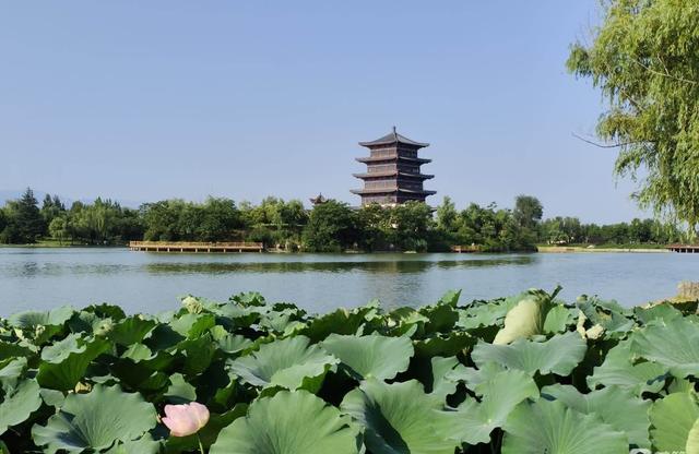 洛宁滨河公园：生态画卷里的休闲港湾