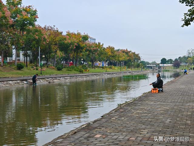 云梦生态浮岛的三重奏