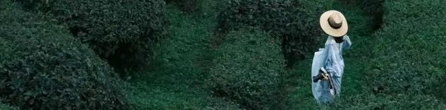 秋崃 | 深秋微凉，正好躲进邛崃山里泡个汤！