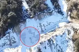 8岁女童失联最新后续：目击者用无人机疑似拍到小女孩，照片被曝图片