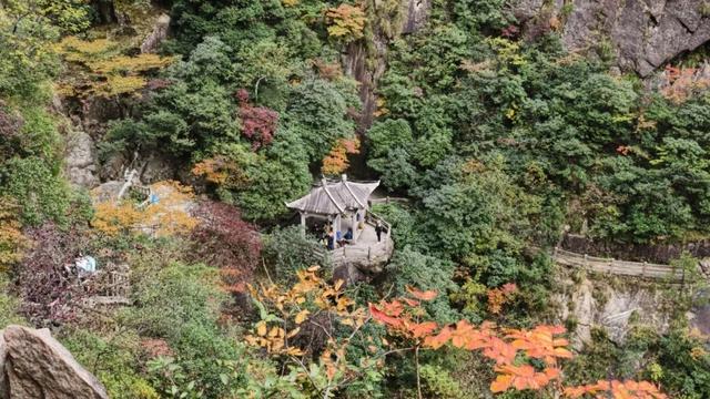 黄山秋景现场播报：云海“开挂”，秋色“沸腾”，抓紧冲