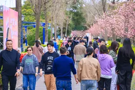 游园求职两不误 公园变人才市场图片