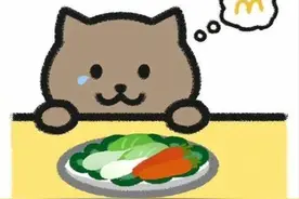 重庆胖猫事件：男性恋爱中的沉重反思图片