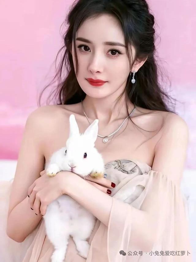 好羡慕大幂幂那只兔子啊
