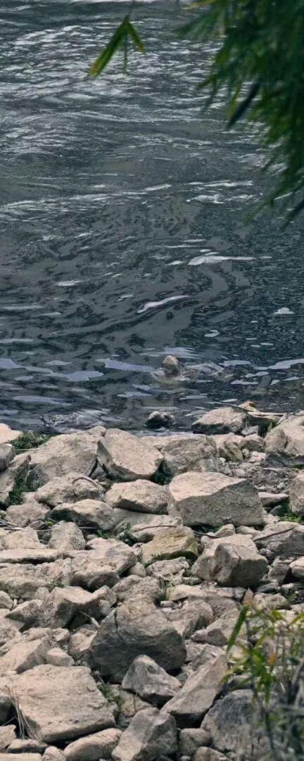 地理冷知识—黎川