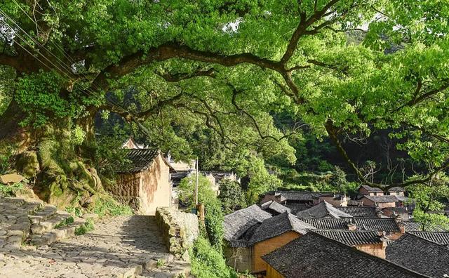 浙江有座避世古村,藏在深山无人问,依然保持着原生态的风貌