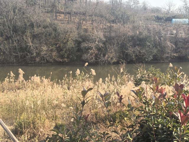 南京第二次到镇江武岐山空青山郊野徒步