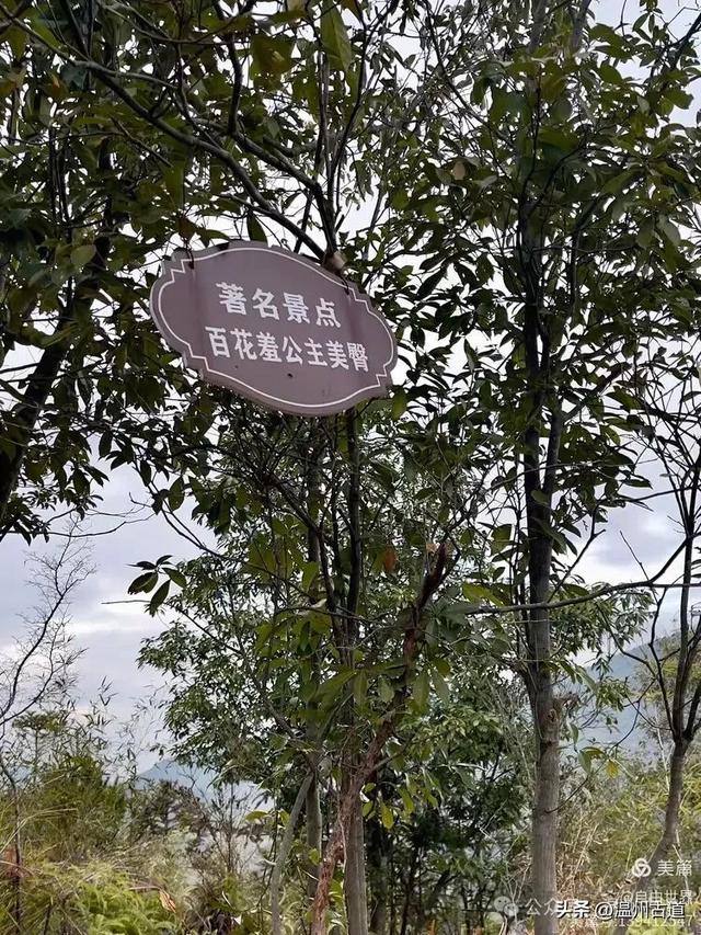 一步一景,奇石不断!温州这处奇石纷呈的的免费景区你可去过?