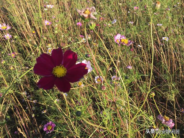 深秋之游——五大连池，因为它的博大，才有苍凉之美的深远