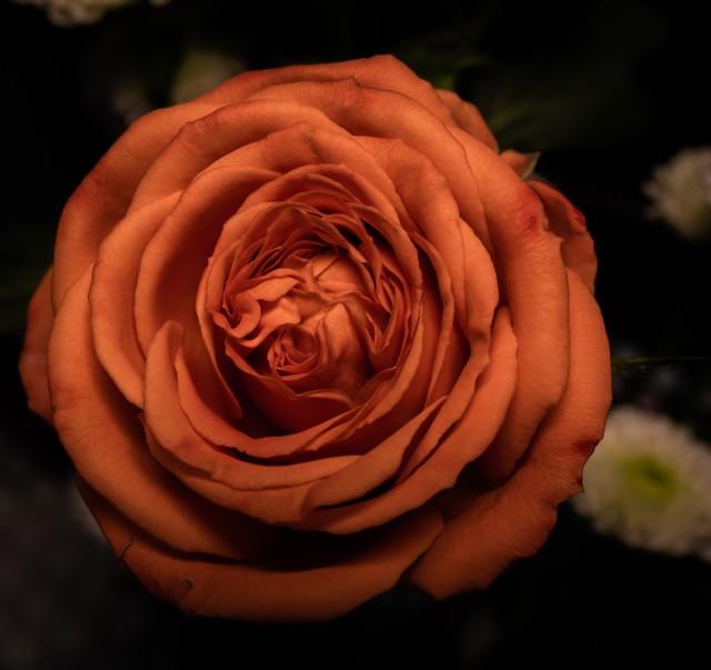 对老公寒心后，女人这么做，不离也能活得漂亮