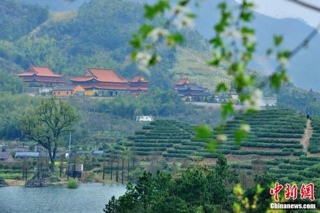 人这一辈子，一定要去爬一趟金华山！