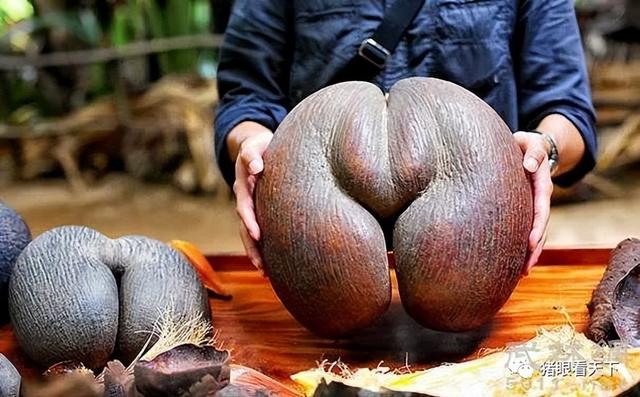 老爸眼里的神秘非洲