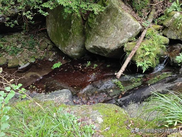 1.5h直达!藏在山野里的捡秋秘境,瀑布+挖宝双buff拉满!