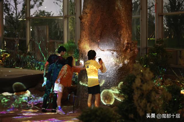 温室花园夜游启幕！下雨浇不灭游客热情