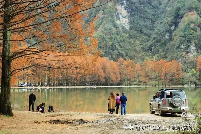 龙池秋色惹人醉