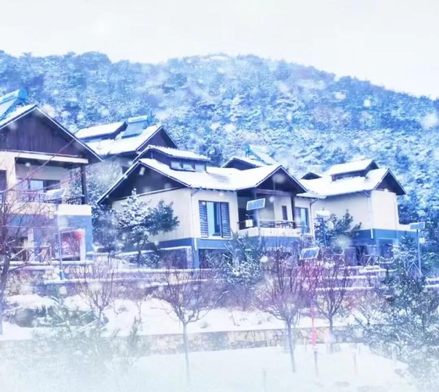 惠民又好玩！临沂36项文旅优惠+69项活动上线