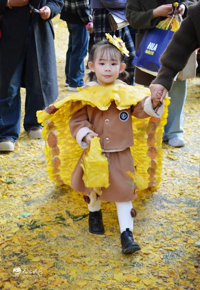 【图看黄金大道】金色长廊映秦州，天水“黄金大道”引客来！