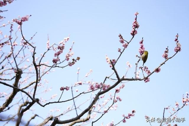 腾龙“20-40mm F/2.8 Di III VXD”镜头评测!