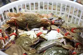 开海了？一大波螃蟹在日照上市！价格→图片