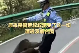 笑岔气！三只猴哥大闹公路，导致大堵车！网友：谁能帮交警报个警图片