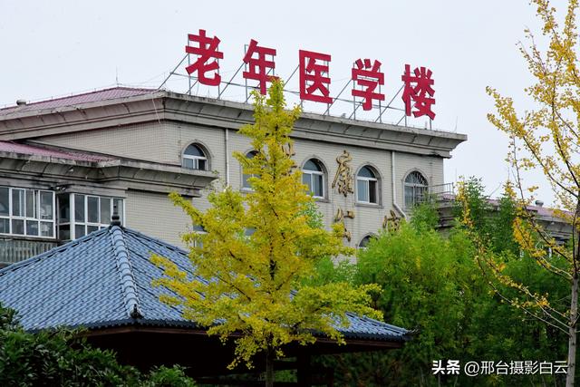 达活泉公园最美秋色（图）