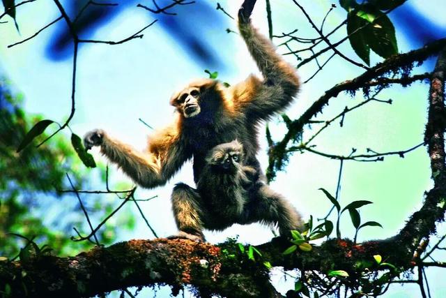 滇超联赛｜@大理保山 看惯了大理的风花雪月，再来体验下保山的高山流水吧