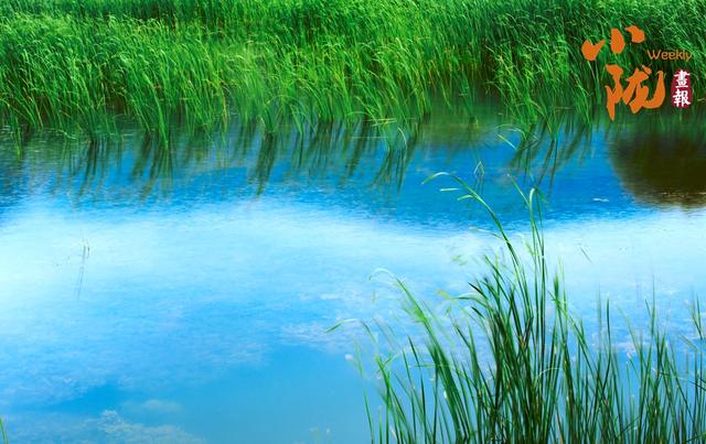 【小陇画报·429期】永靖秋韵：黄河之畔的诗意画卷