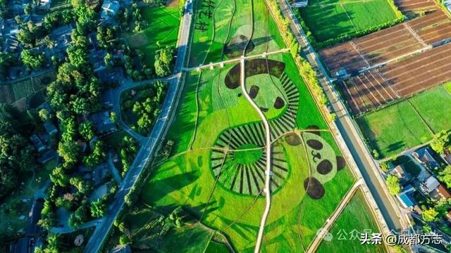 这条5公里旅游专线，串起成都N个好耍地！