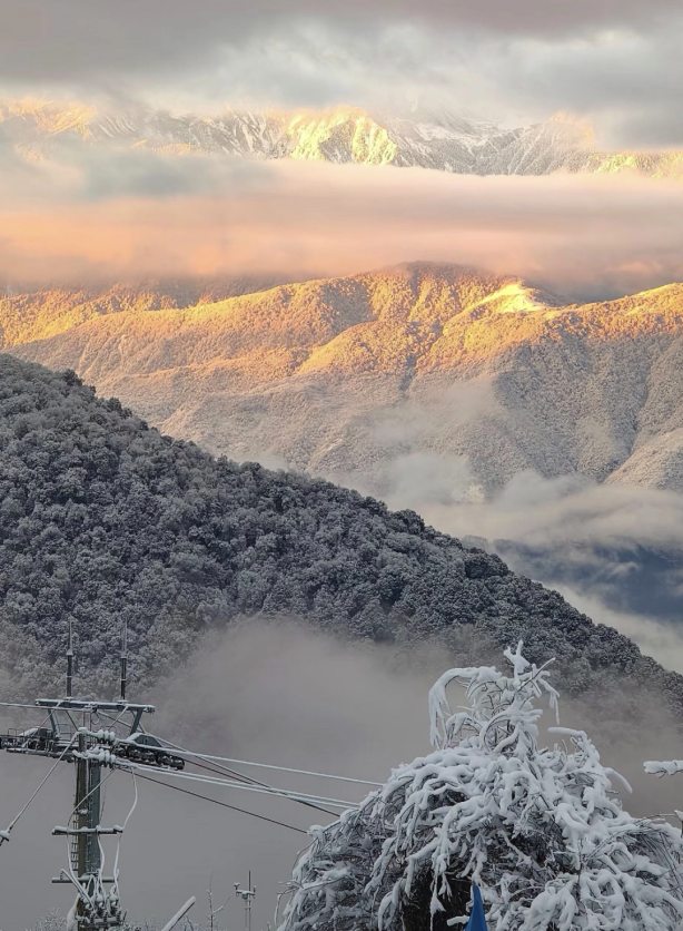 最佳观赏期！雅安的红叶彩林“封神”啦！