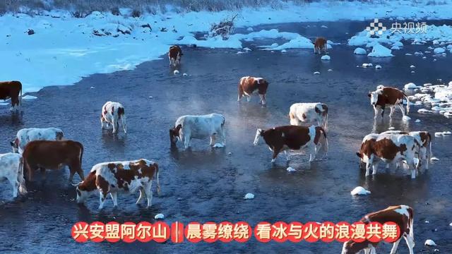 央视直播：解锁兴安盟阿尔山的梦幻冬天