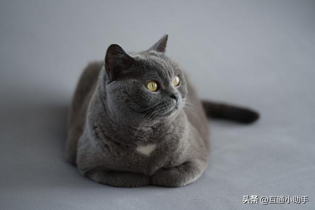腾龙 90mm F/2.8 Di III MACRO VXD 上手使用体验