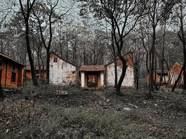 漂亮女邻居老公常年出差，她家灯泡总坏，每次都喊我去修