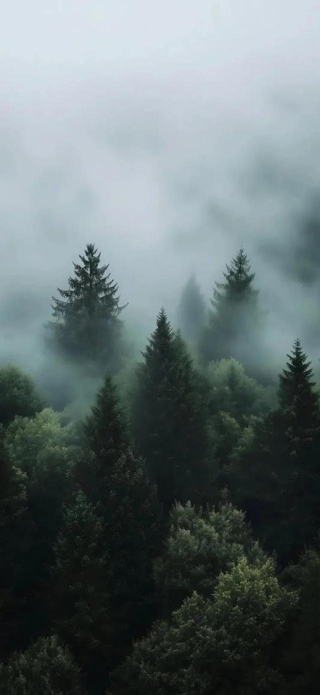 手机壁纸|国庆假期，欣赏美丽的自然风光