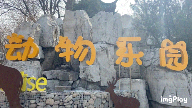 潍坊一4A级景区官宣！永久免门票啦！